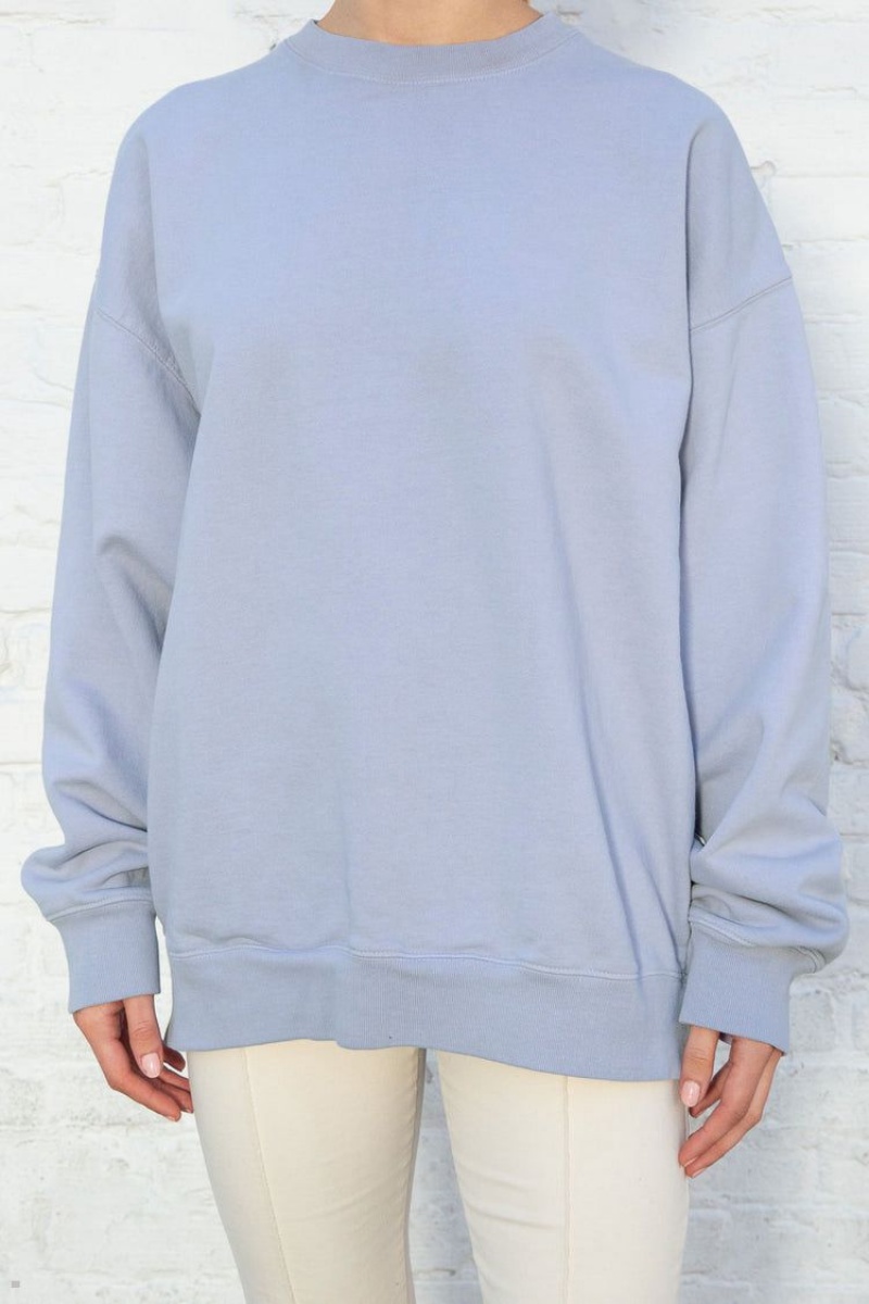 Sweatshirt Brandy Melville Erica Bleu Clair | MLH-28850158